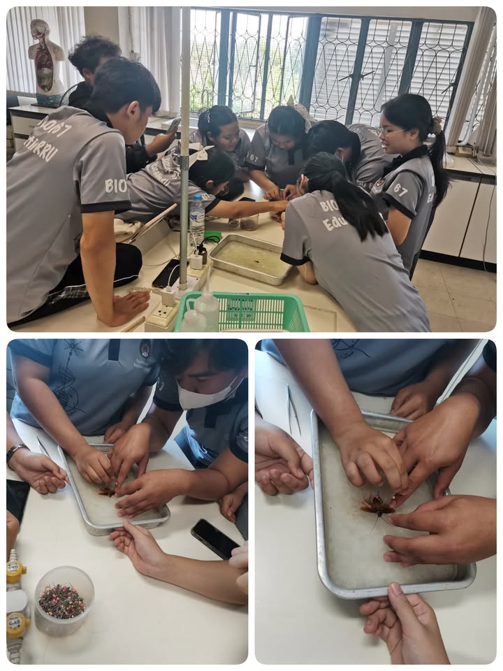 สาขาวิชาชีววิทยา คณะครุศาสตร์ ชวนผู้สนใจเป็นครูชีววิทยาสมัครเรียนภาคปกติ ปีการศึกษา 2568